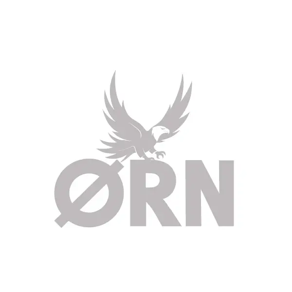 ORN Logo